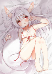 Rule 34 | 1girl, :p, animal ear fluff, animal ears, bad id, bad pixiv id, bare arms, bare legs, bare shoulders, barefoot, bed sheet, bikini, blush, breasts, closed mouth, collarbone, covered erect nipples, fox ears, fox girl, fox tail, front-tie bikini top, front-tie top, hair between eyes, hand up, highres, knees up, lying, minato yu (0514), nipples, on back, one breast out, original, pillow, red eyes, short eyebrows, side-tie bikini bottom, silver hair, small breasts, smile, solo, swimsuit, tail, thick eyebrows, tongue, tongue out, untied bikini, white bikini