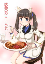 Rule 34 | 10s, 1girl, animal ears, blue eyes, blue shirt, brave witches, breasts, brown hair, chair, curry, dress shirt, eating, female focus, food, georgette lemare, glass, gradient background, hair ribbon, highres, holding, ice, jacket, long hair, long sleeves, military, military uniform, no pants, plate, ribbon, rice, sausage, shirt, solo, spoon, strike witches, table, transparent, twintails, uniform, wan&#039;yan aguda, water, white jacket, world witches series
