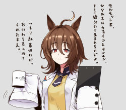 Rule 34 | 1girl, agnes tachyon (umamusume), ahoge, animal ears, black necktie, brown hair, clipboard, commentary request, cup, equation, fumiomiomi, grey background, highres, holding, holding clipboard, holding cup, horse ears, horse girl, lab coat, long sleeves, medium hair, messy hair, motion lines, necktie, partial commentary, physics, red eyes, short necktie, sleeves past fingers, sleeves past wrists, solo, sweater, translation request, umamusume, yellow sweater