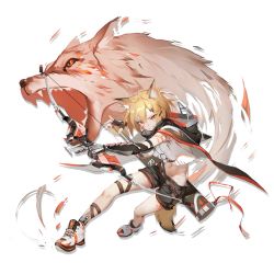 Rule 34 | 1girl, animal ears, arknights, black gloves, black shorts, blonde hair, blouse, bow (weapon), cloak, crop top, crop top overhang, elite ii (arknights), facial mark, fingerless gloves, fox ears, fox tail, full body, gloves, grin, hair ornament, hairclip, holding, hood, hood down, kentllaall, leg belt, looking at viewer, mechanical arms, midriff, navel, notched ear, official art, orange eyes, quiver, shirt, shoes, short hair, short shorts, shorts, shoulder tattoo, single mechanical arm, sleeveless, sleeveless shirt, smile, sneakers, solo, stomach, tail, tattoo, thighs, transparent background, v-shaped eyebrows, vermeil (arknights), weapon, white shirt, wolf, wolf ears, wolf girl, wolf tail