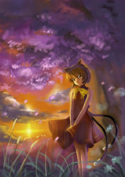 Rule 34 | 1girl, absurdres, ame no uta, animal ears, bad id, bad pixiv id, brown eyes, brown hair, cat ears, cat girl, chen, earrings, female focus, highres, jewelry, looking at viewer, multiple tails, nekomata, solo, sunset, tail, touhou, two tails, v arms