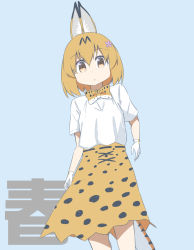 Rule 34 | 10s, 1girl, adapted costume, animal ears, blonde hair, blue background, bow, bowtie, brown eyes, commentary, flower, gloves, hair between eyes, hair flower, hair ornament, highres, kemono friends, long skirt, looking at viewer, print skirt, purin a la mode (popup), serval (kemono friends), serval print, serval tail, shirt, short hair, simple background, skirt, solo, tail, translated, white shirt