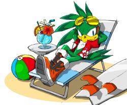 Rule 34 | ball, beach chair, beachball, glasses, hawaiian shirt, jet the hawk, official art, sega, shirt, sonic (series), sunglasses, surfboard