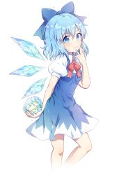 Rule 34 | 1girl, absurdres, blue bow, blue dress, blue eyes, blue hair, blue wings, blush, bow, cirno, closed mouth, collared shirt, commentary, detached wings, dress, frozen frog, hair between eyes, hair bow, hand up, highres, holding, ice, ice wings, kaoling, looking at viewer, puffy short sleeves, puffy sleeves, red bow, shirt, short sleeves, simple background, sleeveless, sleeveless dress, smile, solo, standing, standing on one leg, symbol-only commentary, touhou, white background, white shirt, wings