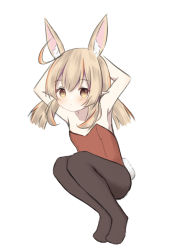 Rule 34 | 1girl, ahoge, animal ear fluff, animal ears, arms behind head, arms up, bad id, bad pixiv id, black pantyhose, blush, brown eyes, brown hair, closed mouth, full body, genshin impact, hair between eyes, kemonomimi mode, klee (genshin impact), leotard, low twintails, no shoes, pantyhose, pointy ears, rabbit ears, rabbit girl, rabbit tail, red leotard, risu (ritharte), simple background, solo, strapless, strapless leotard, tail, twintails, white background
