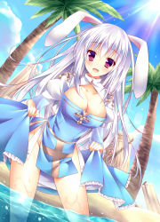 Rule 34 | 1girl, animal ears, arch bishop (ragnarok online), beach, blush, breasts, cleavage, cleavage cutout, clothing cutout, collarbone, curtsey, long hair, no panties, open mouth, palm tree, partially submerged, purple eyes, rabbit ears, ragnarok online, solo, sorai shin&#039;ya, sun, tree, wading, wet, white hair