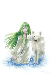 Rule 34 | 1boy, androgynous, barefoot, enkidu (fate), fate/strange fake, fate (series), green eyes, green hair, highres, kneeling, long hair, male focus, robe, suizhiqi, white background, wolf
