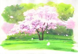 Rule 34 | cherry blossoms, grass, highres, no humans, original, outdoors, painting (medium), sawitou mizuki, scenery, traditional media, tree