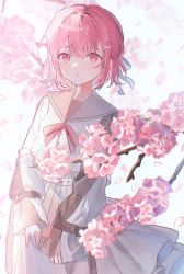 Rule 34 | 1girl, absurdres, ban (one ban7241), belt, blue ribbon, bow, bowtie, cherry blossoms, commentary, cowboy shot, frown, grey sailor collar, hair ornament, hair ribbon, hairclip, highres, looking at viewer, original, petals, pink bow, pink bowtie, pink eyes, pink hair, pleated skirt, ribbon, sailor collar, school uniform, short hair, simple background, skirt, sleeves past wrists, solo, white background, white belt