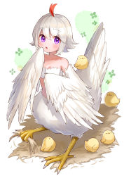Rule 34 | absurdres, bandeau, bird, bird girl, bird tail, bird wings, blush, breasts, chick, cleavage, holding with feet, harpy, highres, miyamo (fumifumi no ura), monster girl, nest, original, parted lips, plume, purple eyes, second-party source, short hair, small breasts, tail, talons, taur, tori (tama), white hair, winged arms, wings, x anus