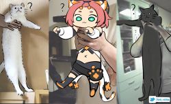 Rule 34 | 1girl, :3, ?, animal ears, bag, bangs pinned back, belt, carrying, carrying person, cat, cat ears, cat girl, cat tail, commentary request, detached sleeves, diona (genshin impact), genshin impact, green eyes, hair ribbon, hat, highres, long sleeves, longcat (meme), meme, navel, ooyun, paw print, photo background, pink hair, ribbon, short hair, sidelocks, stomach, tail, thick eyebrows