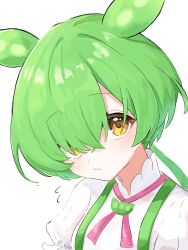 1girl :/ alternate_hairstyle animal_ears bad_id bad_twitter_id blush closed_mouth flying_sweatdrops green_hair hair_over_one_eye highres long_hair looking_at_viewer neck_ribbon neri_ane_(h_si11) pink_ribbon ribbon shirt simple_background solo upper_body voicevox white_background white_shirt yellow_eyes zundamon