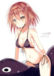 Rule 34 | 10s, 1girl, bikini, black bikini, breasts, brown eyes, brown hair, cowboy shot, front-tie top, hairband, highres, hizaka, kantai collection, looking at viewer, red hairband, riding, shiratsuyu (kancolle), short hair, side-tie bikini bottom, signature, simple background, small breasts, smile, solo, swimsuit, twitter username, white background
