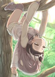 Rule 34 | 1girl, :/, black hair, buttons, closed mouth, cutoffs, day, forehead, grey hair, half-closed eyes, hanging, highres, holding, holding shoes, in tree, jacket, kemono friends, long sleeves, loose thighhigh, multicolored hair, okyao, open clothes, open jacket, outdoors, outstretched arms, shirt, shoes, unworn shoes, short hair, short shorts, shorts, sleepy, sloth (kemono friends), sloth girl, sloth tail, solo, tail, thighhighs, tree, branch, unbuttoned, upside-down, white hair, yellow eyes