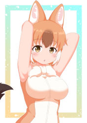Rule 34 | :o, animal ears, armpits, arms up, bare arms, blush, brown eyes, collar, dhole (kemono friends), highres, kemono friends, kirigamine, looking at viewer, multicolored hair, open mouth, orange hair, short hair, simple background, sleeveless, tail, upper body