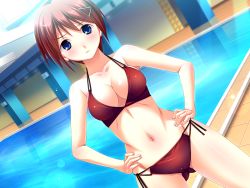 Rule 34 | 1girl, aneimo neo + second sister, bare shoulders, bikini, blue eyes, blush, breasts, brown hair, cameltoe, cleavage, game cg, hair ornament, hairclip, hands on own hips, large breasts, legs, looking at viewer, navel, pool, poolside, shinonome kazuhiko, short hair, solo, standing, swimsuit, thighs, water