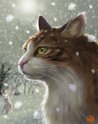 Rule 34 | animal, animal focus, cat, green eyes, matataku, no humans, original, portrait, realistic, snowflakes, snowing, solo focus, surprised cat (matataku), whiskers, winter