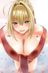 Rule 34 | 1girl, ahoge, bad id, bad pixiv id, bare shoulders, bath, blonde hair, blush, braid, breasts, collarbone, covered erect nipples, fate/extra, fate (series), french braid, gachou, green eyes, hair between eyes, hair bun, hair intakes, hanging breasts, highres, large breasts, leaning forward, long hair, looking at viewer, nero claudius (fate), nero claudius (fate) (all), nero claudius (fate/extra), nipples, official alternate costume, open mouth, petals, rose petals, sash, see-through, single hair bun, smile, solo, thighs, wet