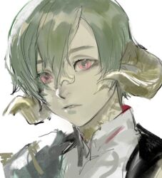 Rule 34 | 1boy, au ra, dragon horns, final fantasy, final fantasy xiv, frischenq, green hair, hair between eyes, horns, looking at viewer, male focus, parted lips, portrait, red eyes, short hair, simple background, solo, varshahn, white background