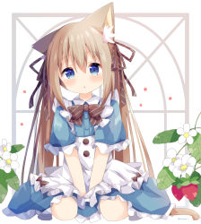 Rule 34 | 1girl, :o, absurdres, animal ear fluff, animal ears, apron, between legs, blue dress, blue eyes, blush, bow, brown hair, brown ribbon, cat ears, cat girl, cat tail, collared dress, commentary request, dress, flower, food, frilled apron, frilled dress, frilled sleeves, frills, fruit, hair between eyes, hair ribbon, hand between legs, highres, long hair, looking at viewer, nakkar, original, parted lips, ribbon, seiza, short sleeves, sitting, solo, strawberry, strawberry blossoms, striped, striped bow, tail, twintails, very long hair, white apron, white background, white flower