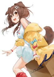 Rule 34 | 1girl, :d, animal ears, blush, bone hair ornament, box, bracelet, braid, breasts, brown eyes, brown hair, commentary request, dog ears, dog girl, dog tail, dress, from side, gotou (nekocat), hair between eyes, hair ornament, highres, hololive, inugami korone, inugami korone (1st costume), jacket, jewelry, kneehighs, long hair, long sleeves, nail polish, off shoulder, open clothes, open jacket, open mouth, red socks, simple background, sitting, smile, socks, solo, tail, translation request, twin braids, virtual youtuber, white background, white dress, yellow jacket, yellow nails