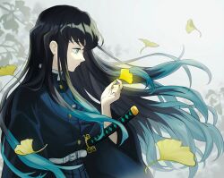 Rule 34 | 1boy, androgynous, aqua eyes, aqua hair, belt, belt buckle, bishounen, black hair, black jacket, buckle, buttons, closed mouth, commentary, falling leaves, floating hair, from side, ginkgo leaf, high collar, highres, holding, holding leaf, jacket, katana, kimetsu no yaiba, leaf, long hair, long sleeves, looking at object, male focus, mugimochi (mg mochi3), multicolored hair, outdoors, profile, sheath, sheathed, solo, sword, tokitou muichirou, two-tone hair, upper body, weapon, white background, white belt, wide sleeves
