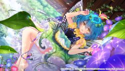 Rule 34 | 1girl, adapted costume, antennae, aqua hair, barefoot, blue flower, blush, butterfly wings, copyright notice, dress, eternity larva, fairy, flower, hair between eyes, highres, insect wings, ko yu, leaf, leaf on head, morning glory, multicolored clothes, multicolored dress, official art, open mouth, orange eyes, pink flower, purple flower, short hair, short sleeves, smile, solo, touhou, touhou danmaku kagura, wings