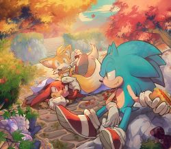 Rule 34 | 1boy, animal nose, autumn, autumn leaves, falling leaves, furry, furry male, gloves, leaf, multiple tails, sega, sonic (series), sonic the hedgehog, tagme, tail, two tails