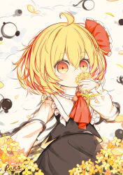 Rule 34 | 1girl, absurdres, ahoge, ascot, black skirt, black vest, commentary request, crossed bangs, flower, hair between eyes, hair ribbon, highres, long sleeves, looking at viewer, red ascot, red ribbon, ribbon, ro.ro, rumia, shirt, short hair, skirt, solo, touhou, vest, white shirt, yellow eyes, yellow flower
