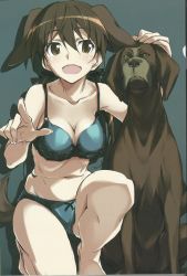 Rule 34 | 1girl, absurdres, animal ears, blue background, bra, breasts, brown eyes, brown hair, cleavage, dog, dog ears, dog tail, gertrud barkhorn, hair ribbon, highres, kneeling, kurashima tomoyasu, looking at viewer, medium breasts, open mouth, panties, ribbon, scan, simple background, smile, solo, strike witches, tail, twintails, underwear, world witches series
