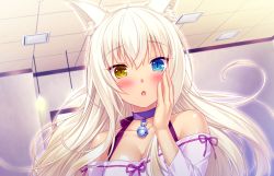 Rule 34 | 10s, 1girl, animal ears, bare shoulders, bell, neck bell, blonde hair, blue eyes, blush, breasts, cat ears, chestnut mouth, choker, cleavage, coconut (nekopara), game cg, hand on own cheek, hand on own face, heterochromia, jingle bell, long hair, looking at viewer, nekopara, off-shoulder shirt, off shoulder, open mouth, platinum blonde hair, sayori (neko works), shirt, slit pupils, solo, upper body, yellow eyes