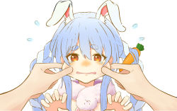 Rule 34 | 1girl, 1other, animal ear fluff, animal ears, blue hair, blush, braid, carrot, carrot hair ornament, cheek pinching, claw pose, commentary, don-chan (usada pekora), embarrassed, flying sweatdrops, food-themed hair ornament, hair between eyes, hair ornament, highres, hololive, kyutai x, long hair, looking at viewer, multicolored hair, open mouth, orange eyes, pinching, pov, pov hands, rabbit ears, short eyebrows, sidelocks, simple background, solo focus, tearing up, thick eyebrows, twin braids, twintails, two-tone hair, upper body, usada pekora, virtual youtuber, white background, white hair