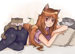 Rule 34 | 1girl, animal ears, bed, casual, highres, holo, lying, long hair, looking at viewer, orange hair, pajamas, pallas&#039;s cat, pink shirt, red eyes, sfp479, shirt, spice and wolf, tail, wolf ears, wolf girl, wolf tail