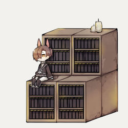 Rule 34 | 1boy, animal ears, black socks, bookshelf, brown hair, candle, commentary request, dog ears, garter straps, hair over one eye, harvest fes, librarian (project moon), library of ruina, long sleeves, male focus, project moon, shirt, short hair, shorts, simple background, sitting, socks, solo, white background, white footwear, white shirt, white shorts