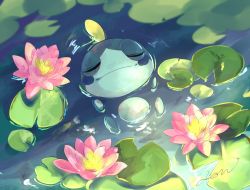 Rule 34 | afloat, closed mouth, commentary, creatures (company), day, closed eyes, flower, game freak, gen 8 pokemon, lily pad, nintendo, no humans, outdoors, pink flower, pokemon, pokemon (creature), rendoll, signature, smile, sobble, solo, water