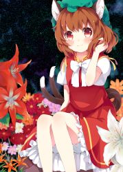 Rule 34 | 1girl, absurdres, animal ears, bloomers, blush, bow, brown hair, cat ears, cat tail, chen, earrings, field, flower, flower field, frilled skirt, frills, hat, highres, japa, jewelry, looking at viewer, mob cap, multiple tails, red eyes, shirt, short hair, short sleeves, single earring, sitting, skirt, skirt set, sky, smile, solo, star (sky), tail, touhou, underwear, vest