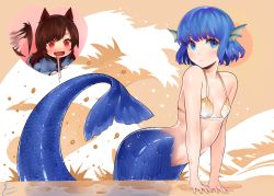 Rule 34 | 2girls, :d, absurdres, animal ears, arm support, blue eyes, blue hair, blush, brown hair, commentary, dress, eyebrows hidden by hair, fang, fins, grey dress, head fins, heart, heart-shaped pupils, highres, imaizumi kagerou, long hair, long tongue, mermaid, monster girl, multiple girls, nose blush, open mouth, parted lips, piancaesar, red eyes, shell, shell bikini, signature, smile, symbol-shaped pupils, tail, tail wagging, tongue, touhou, wakasagihime, wet, wolf ears, wolf girl, wolf tail