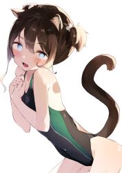 1girl absurdres animal_ears black_one-piece_swimsuit blue_eyes breasts brown_hair cat_ears cat_tail competition_swimsuit covered_navel cowboy_shot gingerbullet highres leaning_forward multicolored_clothes multicolored_swimsuit one-piece_swimsuit original short_hair simple_background small_breasts solo swimsuit tail twintails white_background