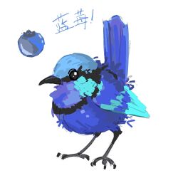 Rule 34 | animal focus, beak, bird, blue bird, blueberry, chinese commentary, chinese text, commentary request, food, fruit, no humans, original, simple background, solo, translation request, white background, zhanghemankong
