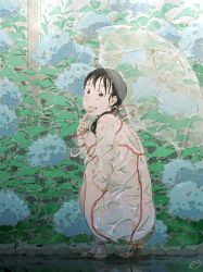 Rule 34 | 1girl, ass, black eyes, black hair, blue flower, blush, brown footwear, coat, commentary, exhibitionism, facing away, flower, foliage, hand to own mouth, highres, hood, hood down, hydrangea, index fingers raised, lips, long hair, looking at viewer, looking back, low ponytail, monodevil, naked coat, naked raincoat, nude, original, path, public indecency, rain, raincoat, raised eyebrows, road, sandals, signature, smile, solo, squatting, stone, transparent, transparent raincoat, transparent umbrella, umbrella, utility pole, wet, wet hair