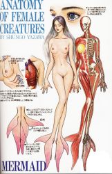 Rule 34 | 1girl, anatomy, black hair, breasts, close-up, gills, gradient background, hard-translated, long hair, mermaid, monster girl, multiple views, nude, shungo yazawa, skeleton, tale, text focus, third-party edit, uncensored, x-ray