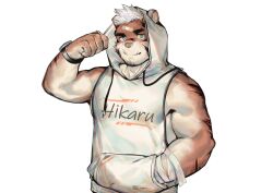 Rule 34 | 1boy, animal ears, bandaged arm, bandages, bandaid, bandaid on face, bandaid on forehead, bara, bare arms, blue eyes, facial hair, fang, fang out, furry, furry male, goatee, highres, hood, hood up, hoodie, laserbiubiu, male focus, muscular, muscular male, original, pectorals, short hair, sidepec, sleeveless, sleeveless hoodie, smile, solo, thick eyebrows, tiger boy, tiger ears, upper body, watch, white hair, white hoodie, wristwatch