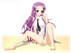 Rule 34 | blush, kakizaki misa, long hair, necktie, purple eyes, purple hair, sitting, smile, spread legs