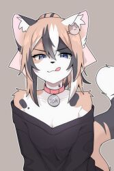 Rule 34 | + +, 1girl, animal ears, bare shoulders, black hair, black sweater, breasts, cat ears, cat girl, cat tail, closed mouth, collar, collarbone, furry, furry female, grey eyes, highres, looking at viewer, multicolored hair, nyaivie, orange hair, original, short hair, short ponytail, small breasts, solo, sweater, tail, tongue, tongue out, upper body, white hair