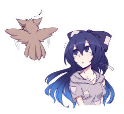 Rule 34 | 1girl, animalization, benizuwai, bird, blue bow, blue eyes, blue hair, bow, breasts, collarbone, commentary request, cropped torso, eighth note, grey hoodie, hair between eyes, hair bow, highres, hood, hoodie, long hair, looking at another, looking up, musical note, owl, short sleeves, simple background, small breasts, touhou, toyosatomimi no miko, toyosatomimi no miko (owl), upper body, white background, yorigami shion