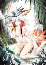 Rule 34 | 2girls, :s, absurdres, barefoot, behind another, bird tail, blunt bangs, blush, breasts, camisole, completely nude, covered erect nipples, crotch grab, dated, feather collar, feathers, forest, frilled camisole, frilled panties, frills, gradient feathers, gradient hair, grass, green eyes, grey hair, hair between eyes, head wings, highres, japanese crested ibis (kemono friends), kemono friends, light smile, medium breasts, moricissist, multicolored feathers, multicolored hair, multiple girls, nature, nude, orange feathers, outdoors, panties, unworn panties, partially submerged, plant, red hair, shoebill (kemono friends), side-tie panties, signature, spaghetti strap, strap slip, tail, tsurime, underwear, undressing another, water, white camisole, white feathers, white hair, white panties, wings, yuri