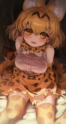 Rule 34 | 1girl, absurdres, animal ears, animal print, arms at sides, bare shoulders, blonde hair, blush, bow, bowtie, breasts, brown hair, colored inner hair, elbow gloves, extra ears, from above, gloves, hair between eyes, hand rest, high-waist skirt, highres, kemono friends, light smile, looking at viewer, medium hair, melaton, miniskirt, multicolored hair, open mouth, print bow, print bowtie, print gloves, print skirt, print thighhighs, serval (kemono friends), serval print, shirt, sitting, skirt, sleeveless, sleeveless shirt, solo, tail, taut clothes, taut shirt, thighhighs, traditional bowtie, two-tone bowtie, two-tone hair, white shirt, yellow eyes, zettai ryouiki