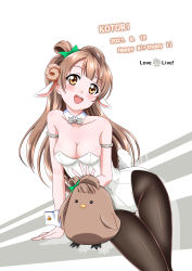 Rule 34 | 1girl, absurdres, animal ears, artist name, artist request, bare shoulders, black pantyhose, blush, bow, bowtie, breasts, brown eyes, brown hair, cleavage, collarbone, female focus, green bow, grey bow, grey hair, hair bow, hair rings, highres, hip focus, horns, leotard, light brown hair, long hair, looking at viewer, love live!, love live! school idol project, medium breasts, minami kotori, minami kotori (bird), nanoha99001, pantyhose, parted lips, playboy bunny, ponytail, sheep horns, side ponytail, smile, solo, white leotard, white wrist cuffs, wing collar, wrist cuffs, yellow eyes