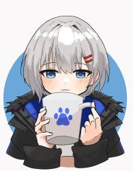 Rule 34 | 1girl, :3, black jacket, blue eyes, blue jacket, blush, commentary, cropped torso, cup, facing viewer, fur-trimmed jacket, fur trim, grey hair, hair ornament, hairclip, highres, holding, holding cup, hood, hooded jacket, jacket, mug, multicolored clothes, multicolored jacket, paw print, rurine luna, sketch, solo, spanish commentary, totssu5, two-sided fabric, virtual youtuber, wactor production