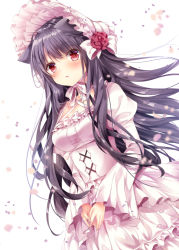Rule 34 | 1girl, amelie-san (nogi takayoshi), animal ears, black hair, blurry, blush, bonnet, breasts, corset, depth of field, dress, dutch angle, juliet sleeves, long hair, long sleeves, medium breasts, nogi takayoshi, original, own hands together, parted lips, petals, puffy sleeves, purple eyes, solo, underbust, upper body, white dress, wide sleeves